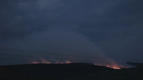 Fire storm in dry fields at a night in hell 스톡 동영상 42430057
