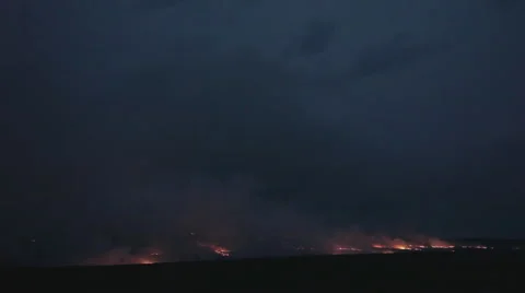 Fire storm in dry fields at night, countryside emergency. 스톡 동영상 42430742