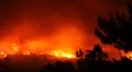Fire storm in the forest – hell on earth HD Footage