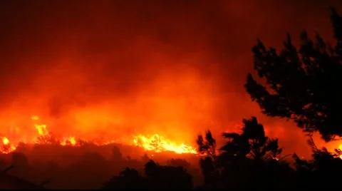 Fire storm in the forest – hell on earth Stock Footage
