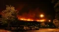 Fire storm in the forest – hell on earth HD Footage