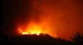 Fire storm in the forest – hell on earth HD Footage