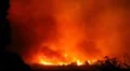 Fire storm in the forest – hell on earth HD Footage