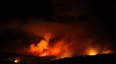 Fire storm in the forest – hell on earth Stock Footage 959511