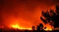 Fire storm in the forest – hell on earth HD Footage