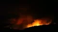 Fire storm in the forest – hell on earth HD Footage