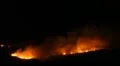 Fire storm in the forest – hell on earth HD Footage