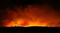 Fire storm in the forest – hell on earth HD Footage