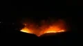 Fire storm in the forest – hell on earth HD Footage