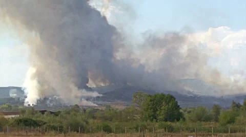 Fire storm in the mountain forest, fire destroys thousands of acres of trees Vídeos de archivo 48199211