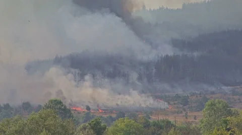 Fire storm in the mountain forest, fire destroys thousands of acres of trees Video stock 48199254