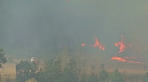 Fire storm in the mountain forest, fire destroys thousands of acres of trees Stock Footage 48199708