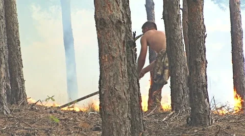 Fire storm in the mountain forest, fire destroys thousands of acres of trees Vídeo Stock 48200337