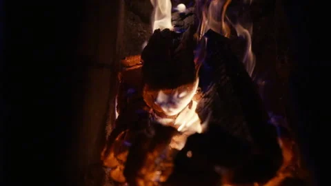 Fire in the stove close-up in slow motion Stock Footage 231706712