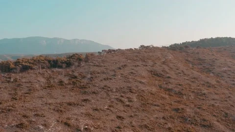 Fire Sunset Light Drone Aerial Nature Wild Landscape Golden Hour Stock Footage 154521574