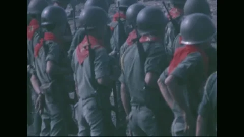 FIRE SUPPORT BASE DANGER - 1969: ARVN turnover ceremony — ranks at attention Video stock 341698162