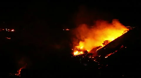 Fire in think brush Stock-Footage 51027126