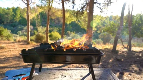 Fire third Stock Footage 98450904