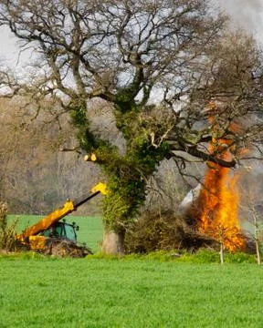 Fire Too Close to Tree and Hedgerows Careless Mistake Stock Photos