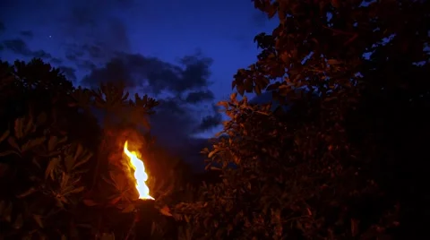 Fire torch burning at night Stock Footage 54591488
