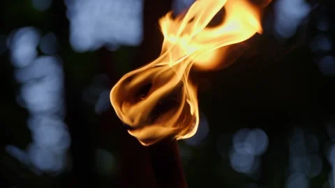 Fire Torch in The Jungle at night time Mexico Tulum Caribbean Tropical Bonfire Stock Footage 288038828