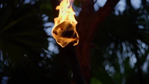 Fire Torch in The Jungle at night time Mexico Tulum Caribbean Tropical Bonfire Stock Footage 288038830