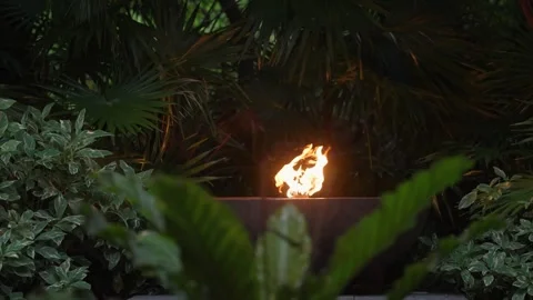 Fire Torch in The Jungle at night time Mexico Tulum Caribbean Tropical Bonfire Stock Footage 288038936