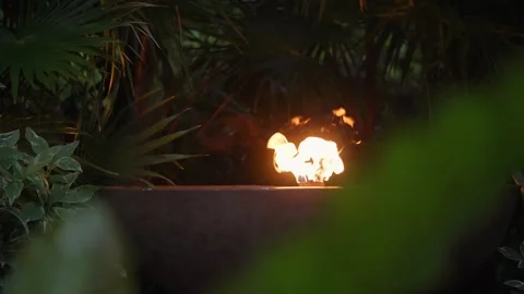 Fire Torch in The Jungle at night time Mexico Tulum Caribbean Tropical Bonfire Stock Footage 288038937