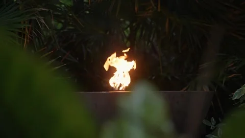 Fire Torch in The Jungle at night time Mexico Tulum Caribbean Tropical Bonfire Stock Footage 288038945