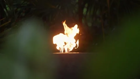 Fire Torch in The Jungle at night time Mexico Tulum Caribbean Tropical Bonfire Stock Footage 288038951