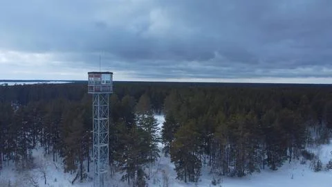 Fire tower against the backdrop of a coniferous forest v3 Stock Photos