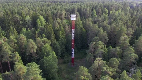 Fire tower between forests Stock Footage 244675217