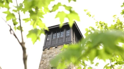 Fire Tower Video stock 190129224