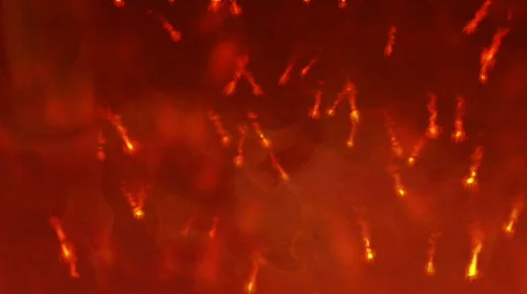 Fire trails background  動画素材 275435