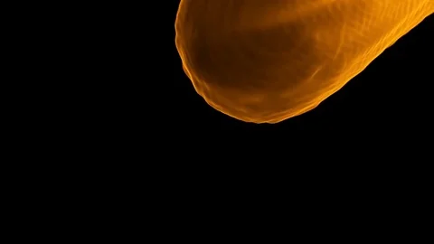 Fire transitions Stock Footage 70661323