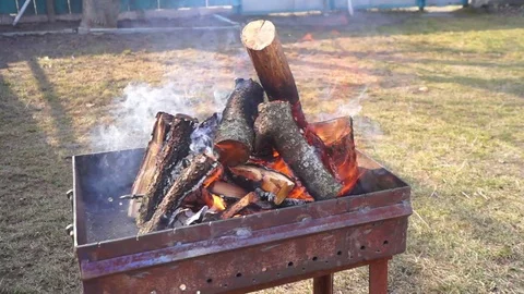 Fire trees wind burn Vídeos de archivo 73796734