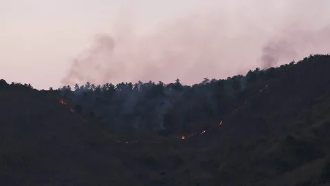  fire in tropical area Stock Footage 127172761