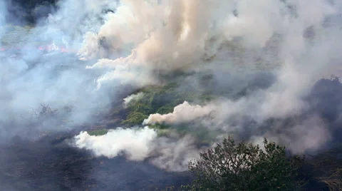 Fire in the tropics Stock Footage 37584848