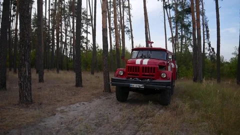 A fire truck drives through a pine forest and stops to extinguish a forest fire. Stock Footage 286985808