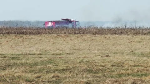 Fire truck in a field during a fire and burning dry grass in a field in spring Stock Footage 317807438