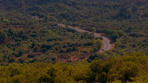 Fire Truck Speeding Down Winding Forest Road During Wildfire Emergency Stock Footage 340256033