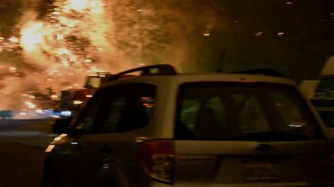 Fire Trucks 2 Stock Footage 296364153