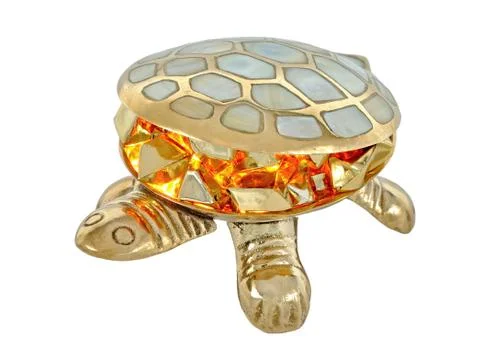 Fire turtle Stock Photos