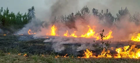 Fire under high voltage wires Vídeos de archivo 238695746