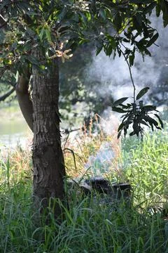 Fire under the tree. Foto stock