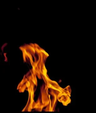 Fire in vector format Illustrazione stock