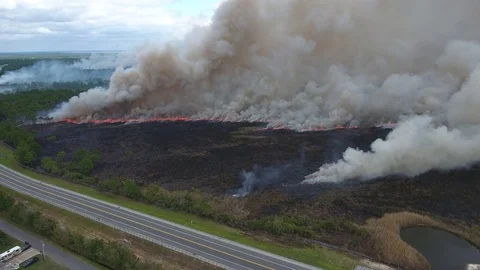 Fire vegetation and large smoke plume along a highway Stock Footage 73496808