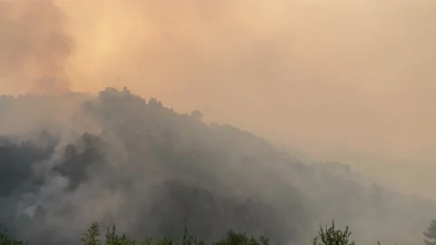 Fire in Versilia, tuscany Stockbeeldmateriaal 201677341