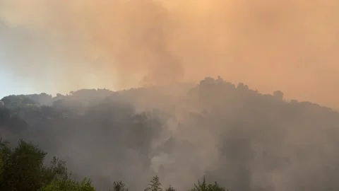 Fire in Versilia, tuscany Stockbeeldmateriaal 201677361
