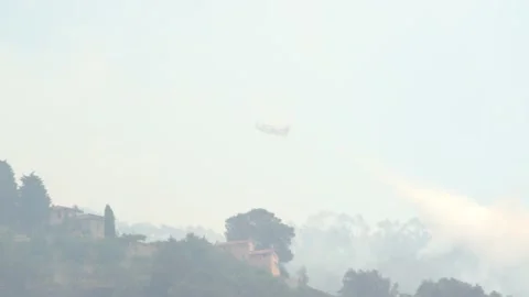 Fire in Versilia, tuscany Video stock 201677378